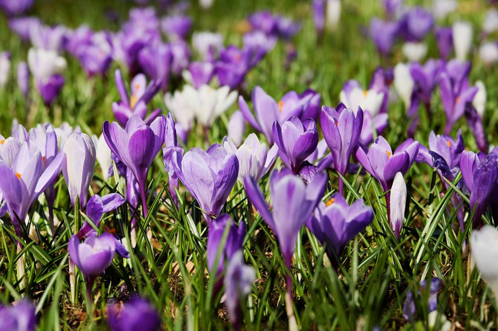 5 Voorjaarsschoonmaak tips voor je beddengoed & slaapkamer