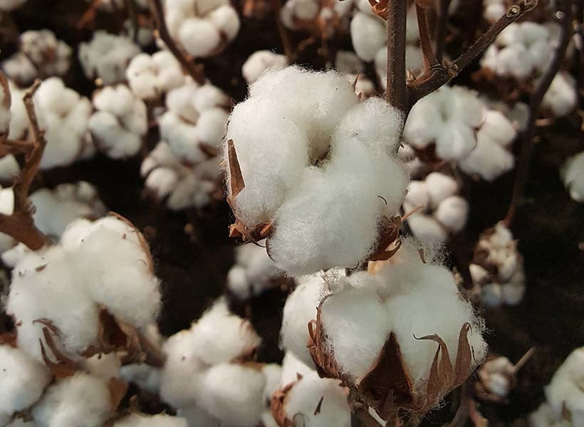 Wat is de juiste draaddichtheid van een comfortabel dekbedovertrek