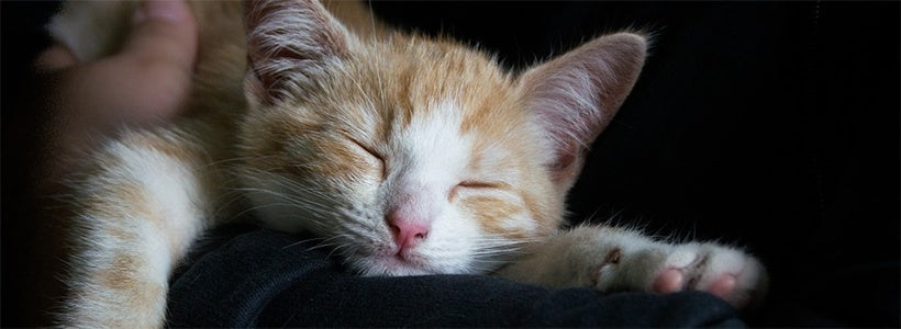 Slapen - dit is de slechtste slaappositie