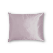 Zijden Kussensloop Vintage Roze met Zilver Ionen - 22MM
