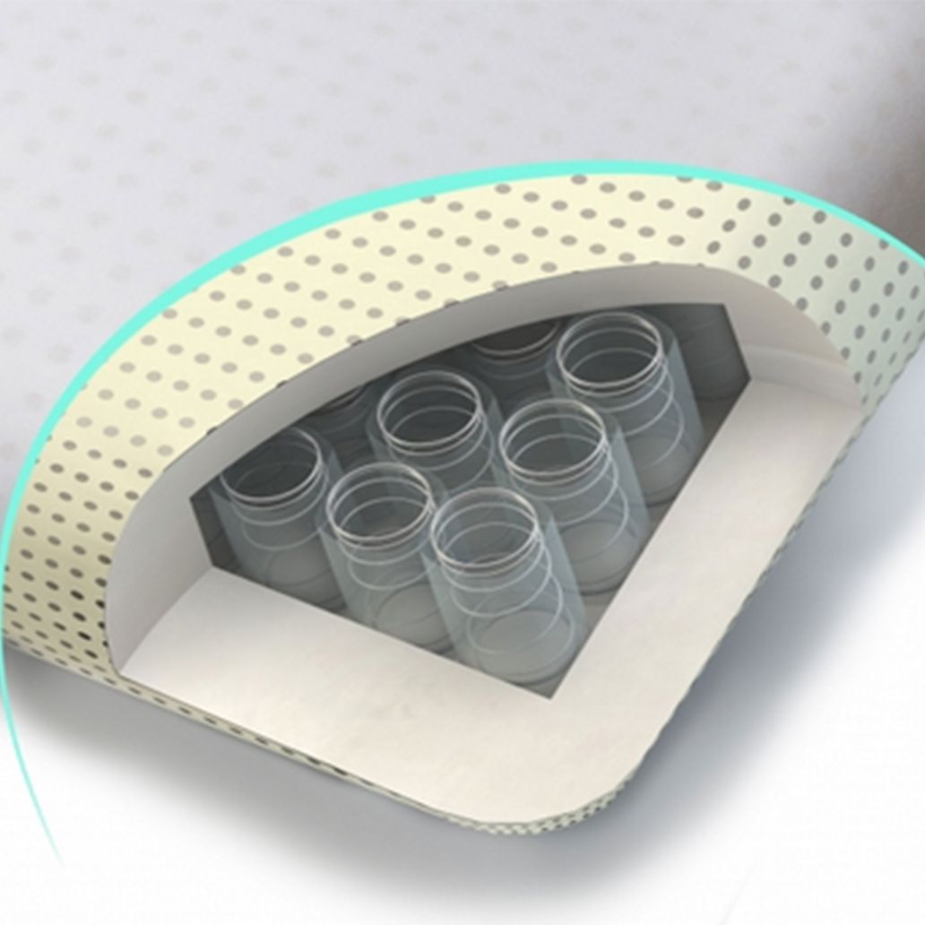 Memory Spring Kussen